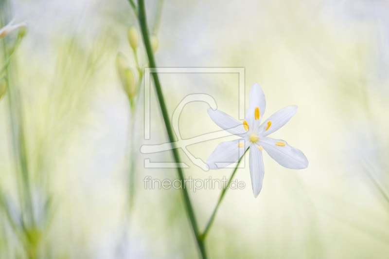 frei w&auml;hlbarer Bildausschnitt f&uuml;r Ihr Bild auf Mousepad