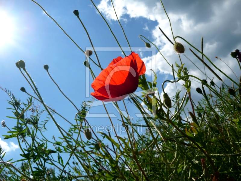 frei w&auml;hlbarer Bildausschnitt f&uuml;r Ihr Bild auf Mousepad
