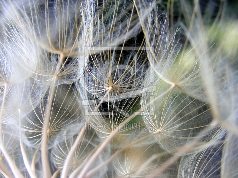 frei w&auml;hlbarer Bildausschnitt f&uuml;r Ihr Bild auf Mousepad