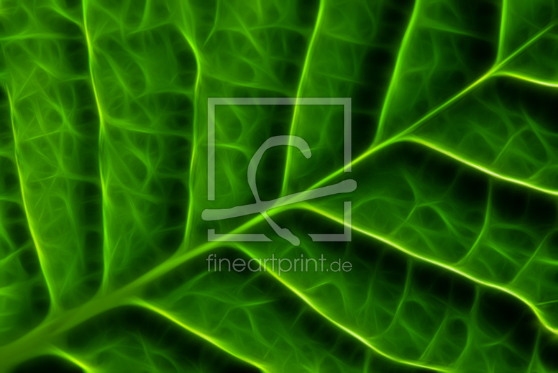 frei w&auml;hlbarer Bildausschnitt f&uuml;r Ihr Bild auf Mousepad