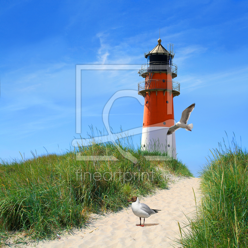 frei wählbarer Bildausschnitt für Ihr Bild auf Papier