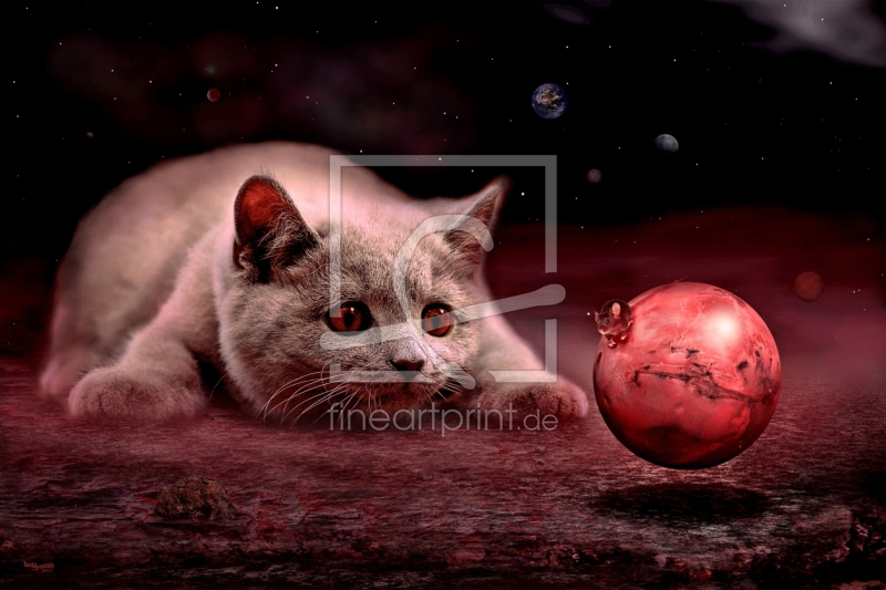 frei wählbarer Bildausschnitt für Ihr Bild auf Papier