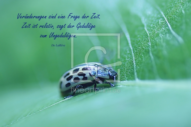 frei wählbarer Bildausschnitt für Ihr Bild auf Papier