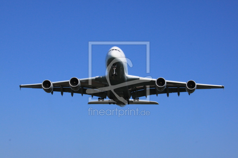 frei wählbarer Bildausschnitt für Ihr Bild auf Papier