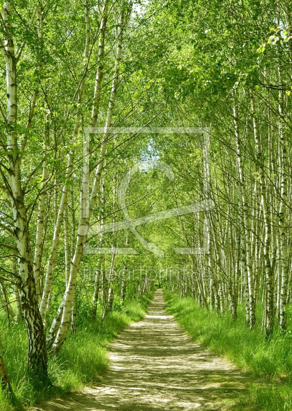 frei wählbarer Bildausschnitt für Ihr Bild auf Papier