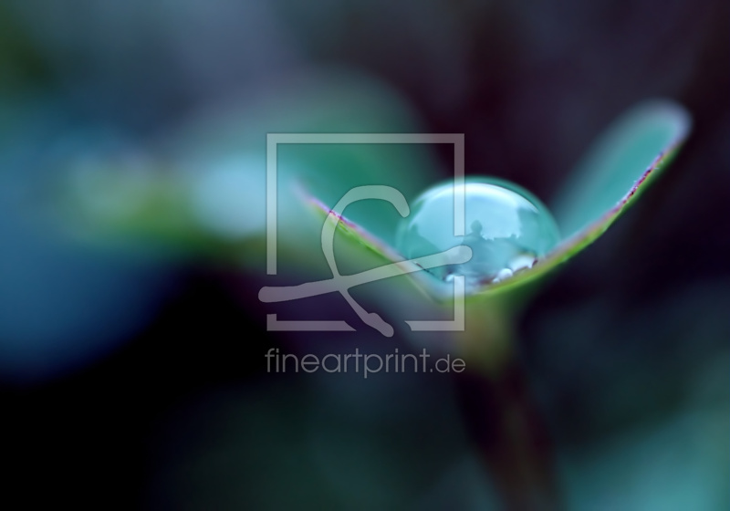 frei wählbarer Bildausschnitt für Ihr Bild auf Papier