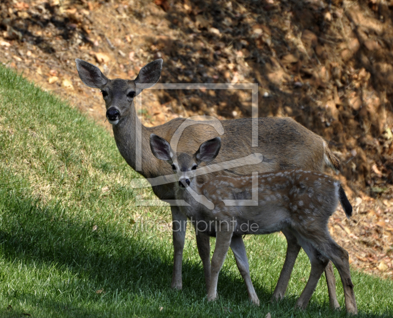 frei wählbarer Bildausschnitt für Ihr Bild auf Papier