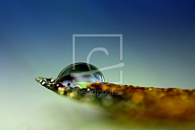 frei wählbarer Bildausschnitt für Ihr Bild auf Papier