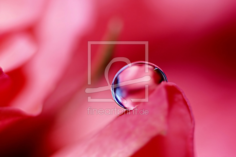 frei wählbarer Bildausschnitt für Ihr Bild auf Papier