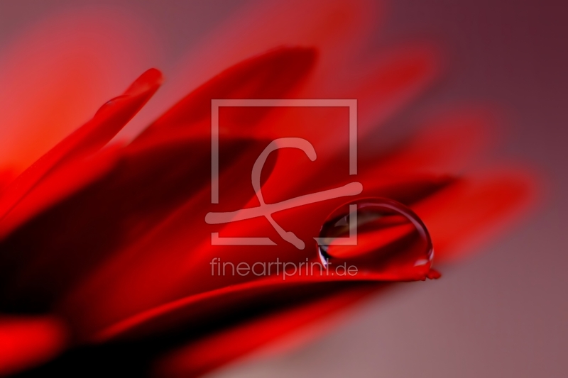 frei wählbarer Bildausschnitt für Ihr Bild auf Papier