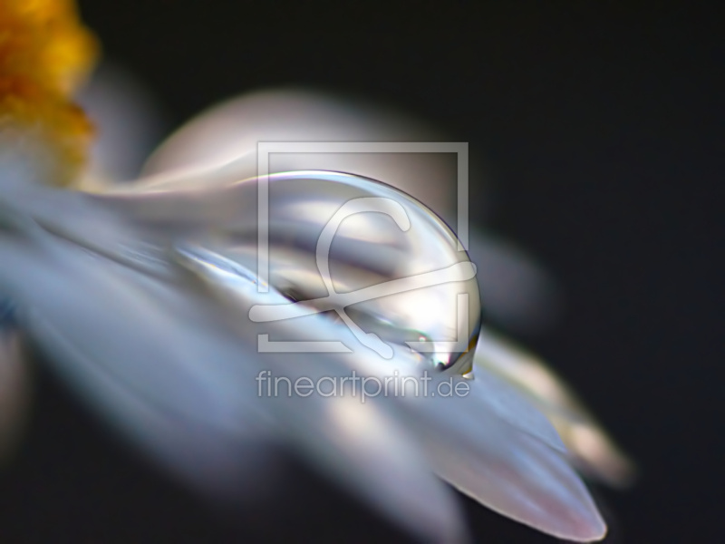 frei wählbarer Bildausschnitt für Ihr Bild auf Papier