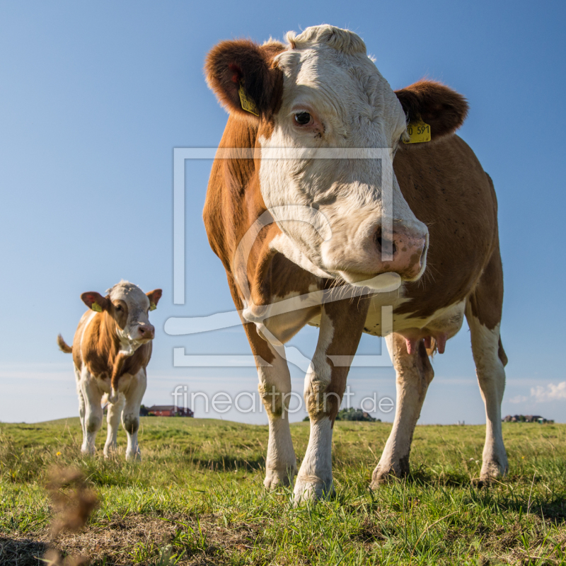 frei wählbarer Bildausschnitt für Ihr Bild auf Papier