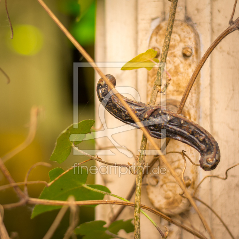 frei wählbarer Bildausschnitt für Ihr Bild auf Papier