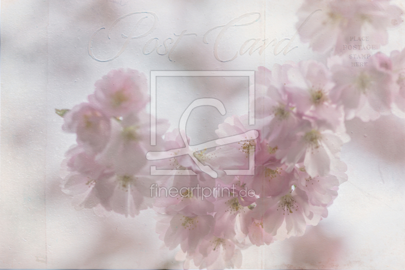 frei wählbarer Bildausschnitt für Ihr Bild auf Papier