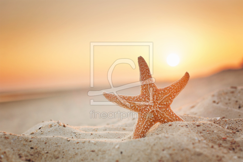 frei wählbarer Bildausschnitt für Ihr Bild auf Papier