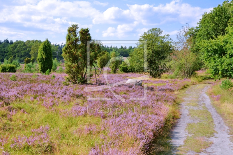 frei wählbarer Bildausschnitt für Ihr Bild auf Papier