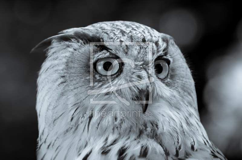 frei wählbarer Bildausschnitt für Ihr Bild auf Papier