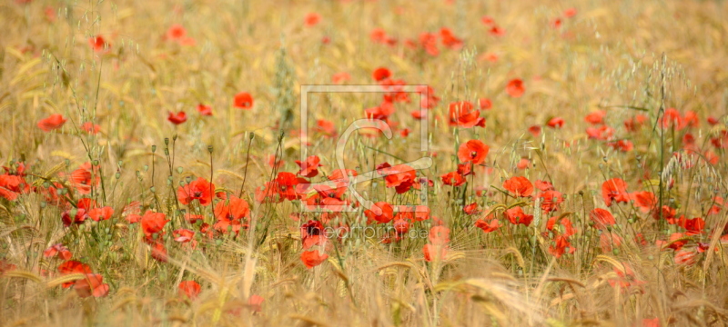 frei wählbarer Bildausschnitt für Ihr Bild auf Papier
