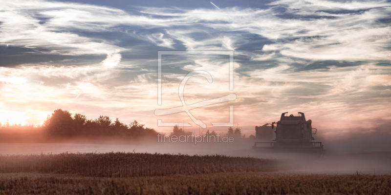 frei wählbarer Bildausschnitt für Ihr Bild auf Papier