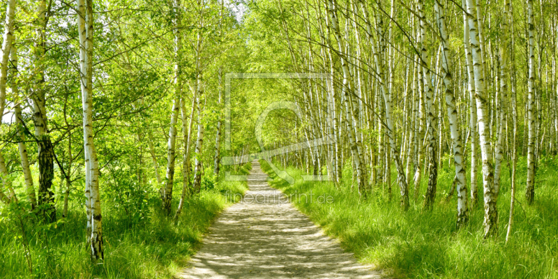 frei wählbarer Bildausschnitt für Ihr Bild auf Papier