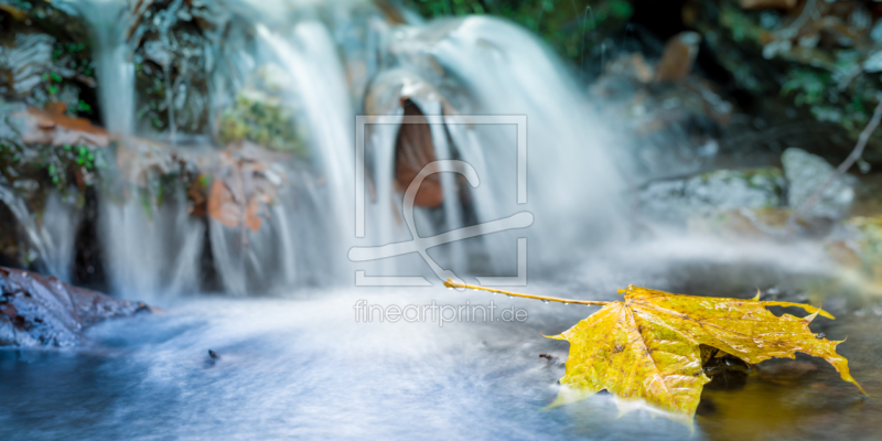 frei wählbarer Bildausschnitt für Ihr Bild auf Papier