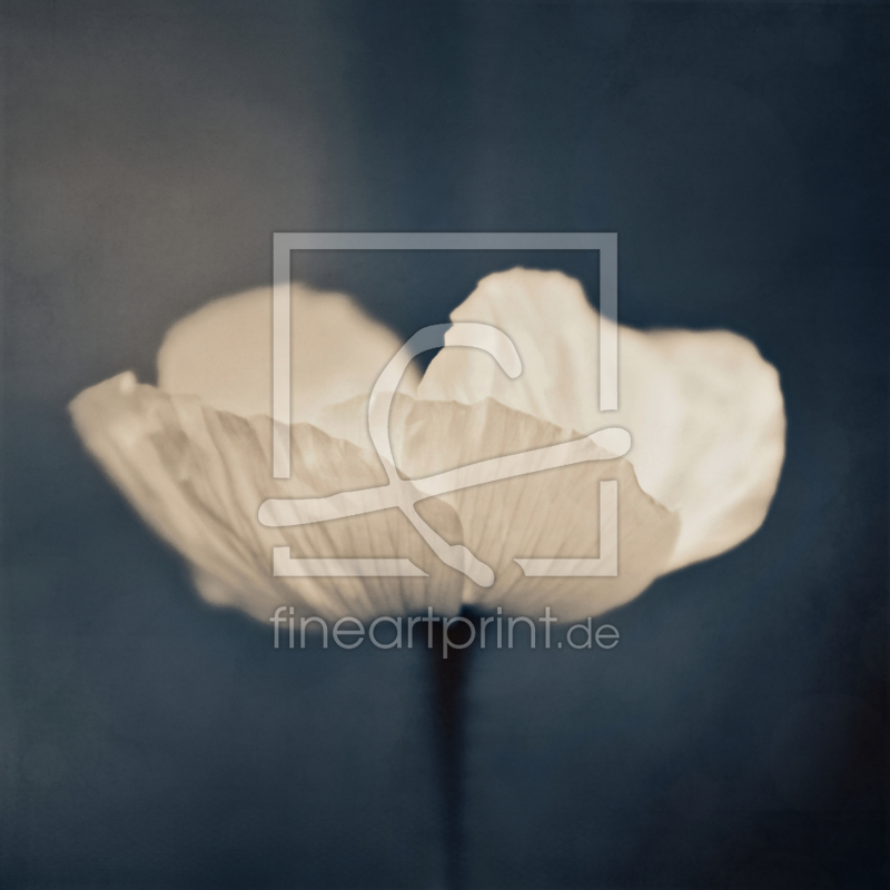 frei wählbarer Bildausschnitt für Ihr Bild auf Papier