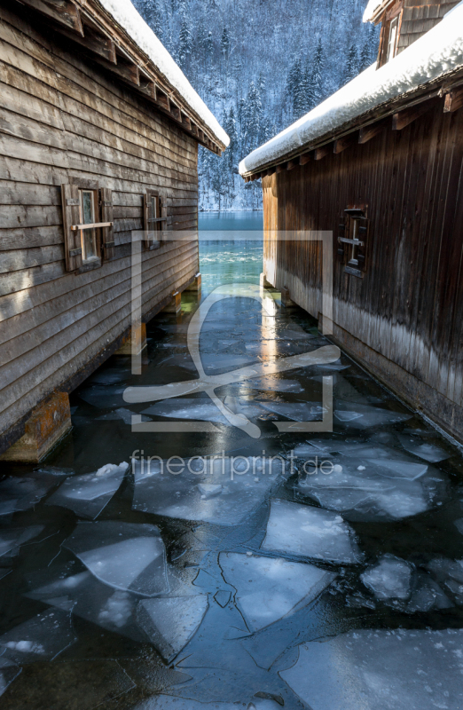 frei wählbarer Bildausschnitt für Ihr Bild auf Papier