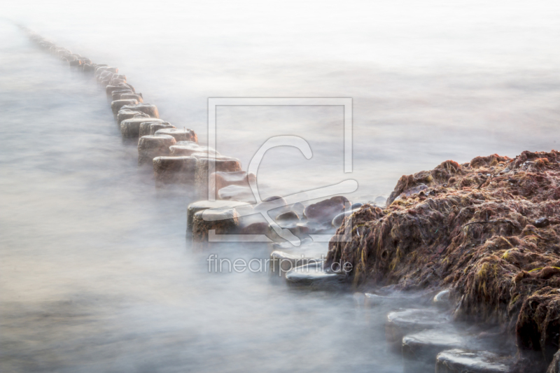 frei wählbarer Bildausschnitt für Ihr Bild auf Papier