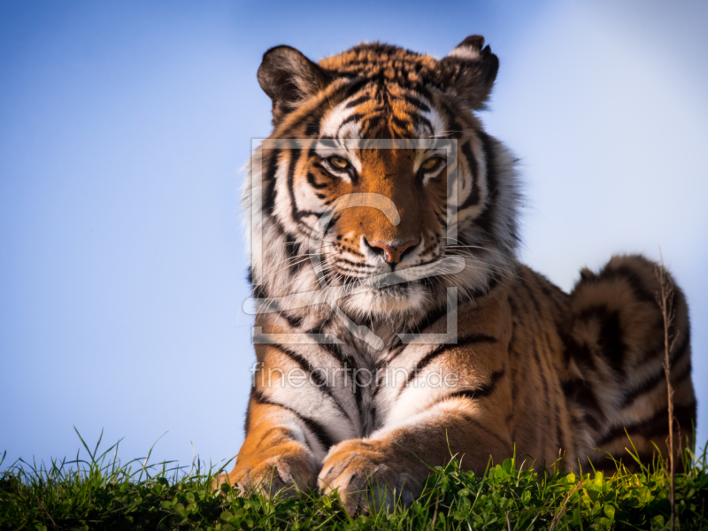 frei wählbarer Bildausschnitt für Ihr Bild auf Papier