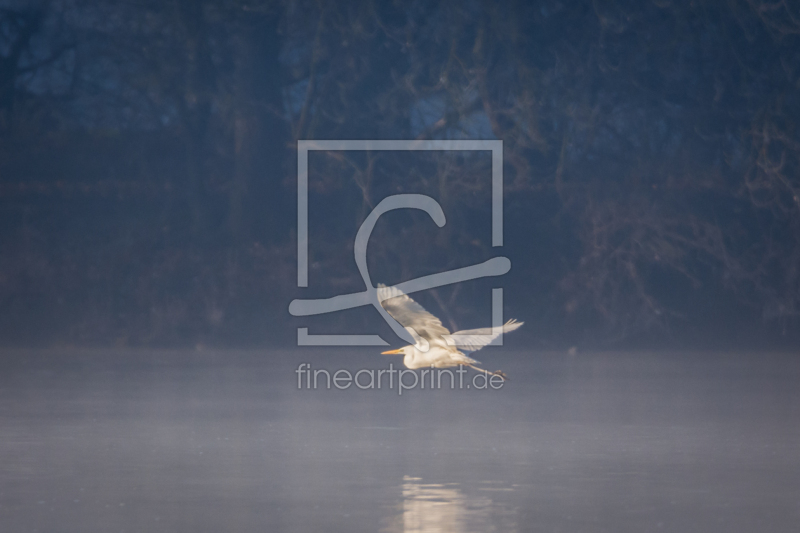 frei wählbarer Bildausschnitt für Ihr Bild auf Papier