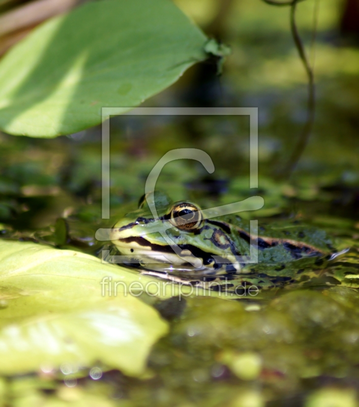 frei wählbarer Bildausschnitt für Ihr Bild auf Papier
