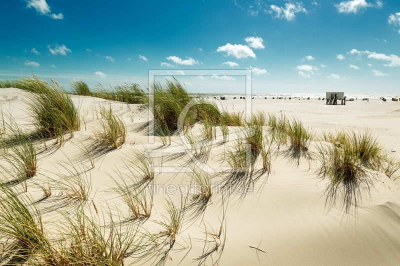 frei wählbarer Bildausschnitt für Ihr Bild auf Papier