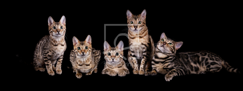 frei wählbarer Bildausschnitt für Ihr Bild auf Papier