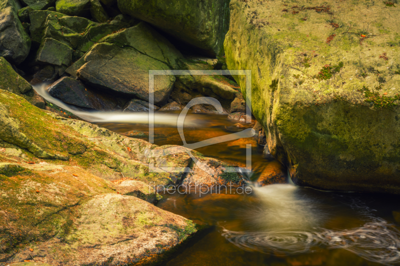 frei wählbarer Bildausschnitt für Ihr Bild auf Papier