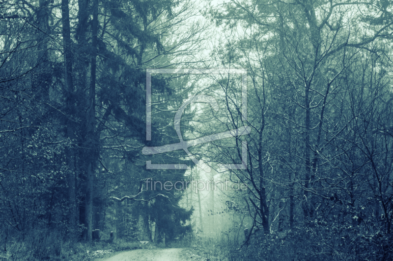 frei wählbarer Bildausschnitt für Ihr Bild auf Papier