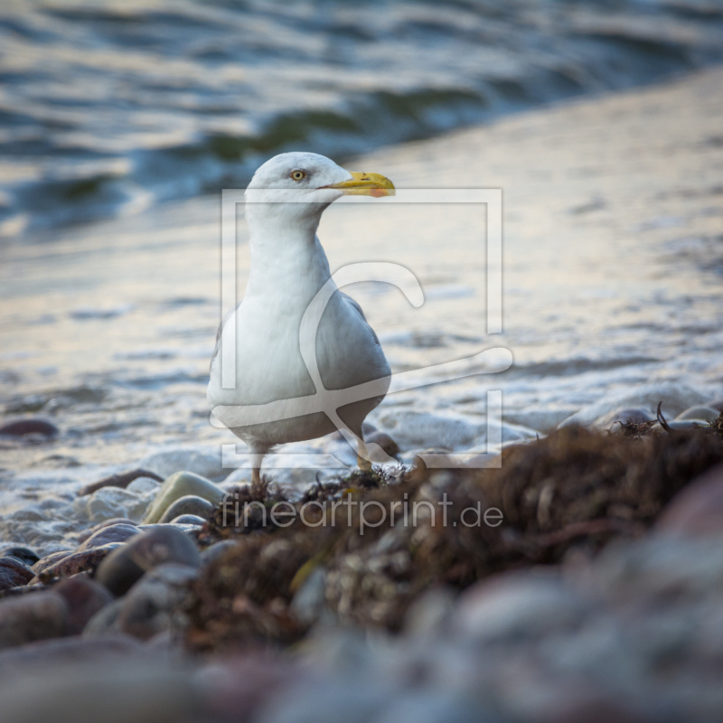frei wählbarer Bildausschnitt für Ihr Bild auf Papier