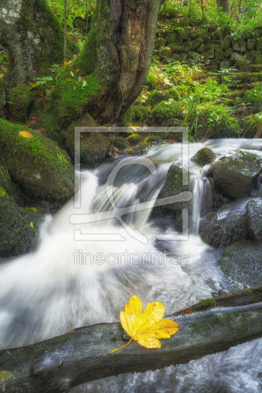 frei wählbarer Bildausschnitt für Ihr Bild auf Papier