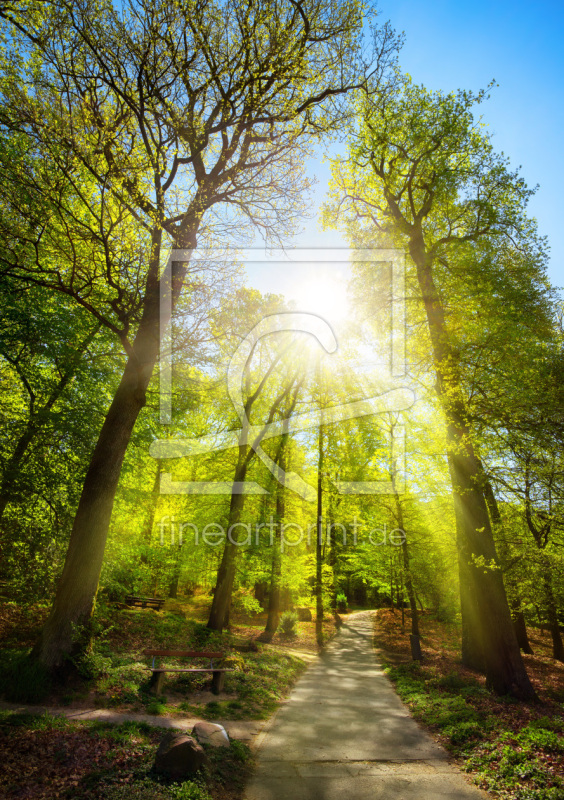 frei wählbarer Bildausschnitt für Ihr Bild auf Papier