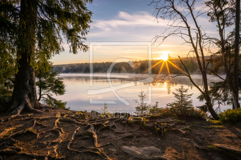 frei wählbarer Bildausschnitt für Ihr Bild auf Papier