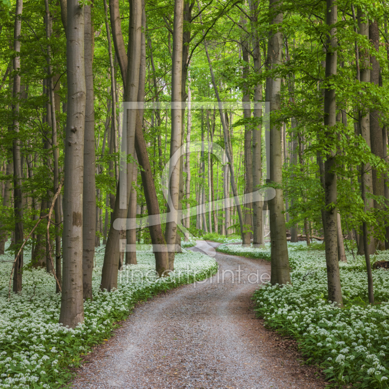 frei wählbarer Bildausschnitt für Ihr Bild auf Papier