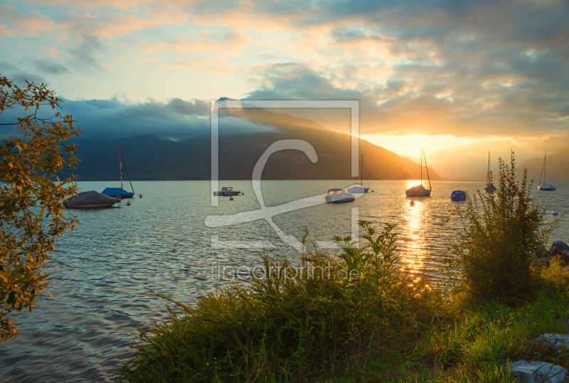 frei wählbarer Bildausschnitt für Ihr Bild auf Papier