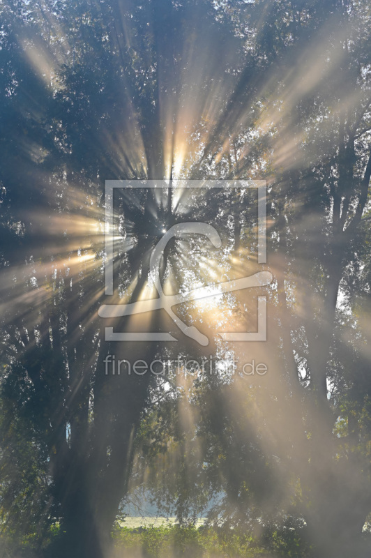 frei wählbarer Bildausschnitt für Ihr Bild auf Papier