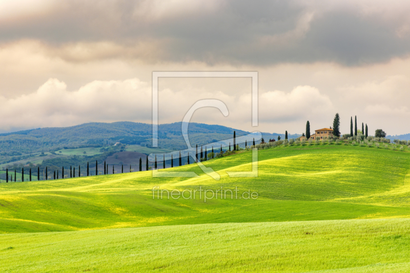 frei wählbarer Bildausschnitt für Ihr Bild auf Papier