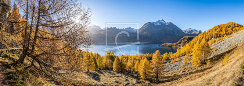 frei wählbarer Bildausschnitt für Ihr Bild auf Papier