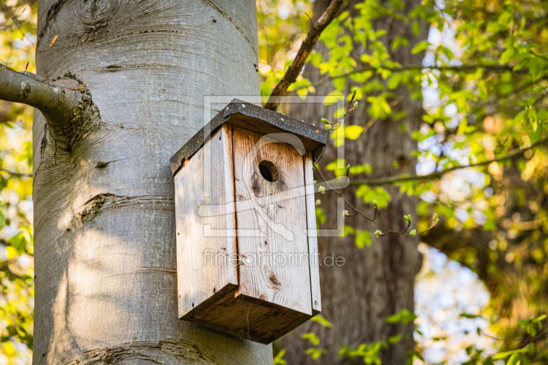 frei wählbarer Bildausschnitt für Ihr Bild auf Papier