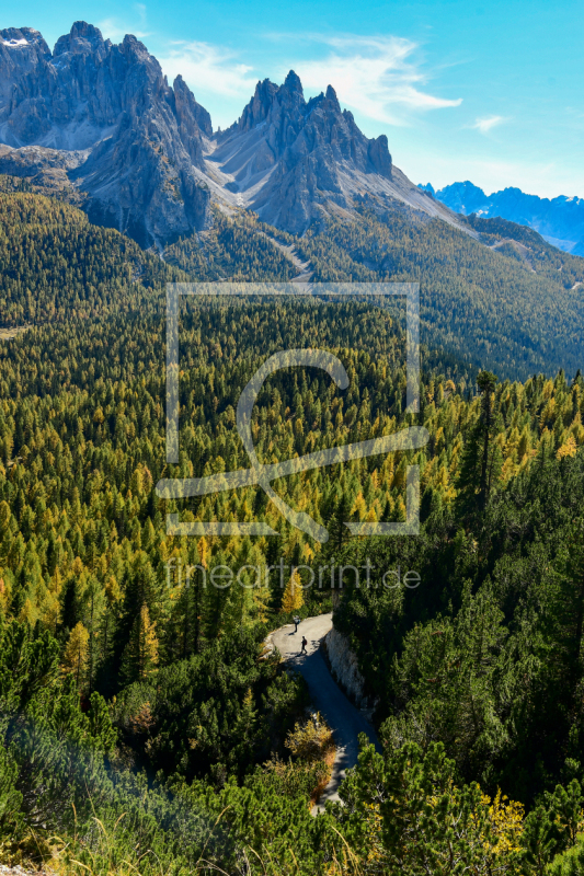 frei wählbarer Bildausschnitt für Ihr Bild auf Papier