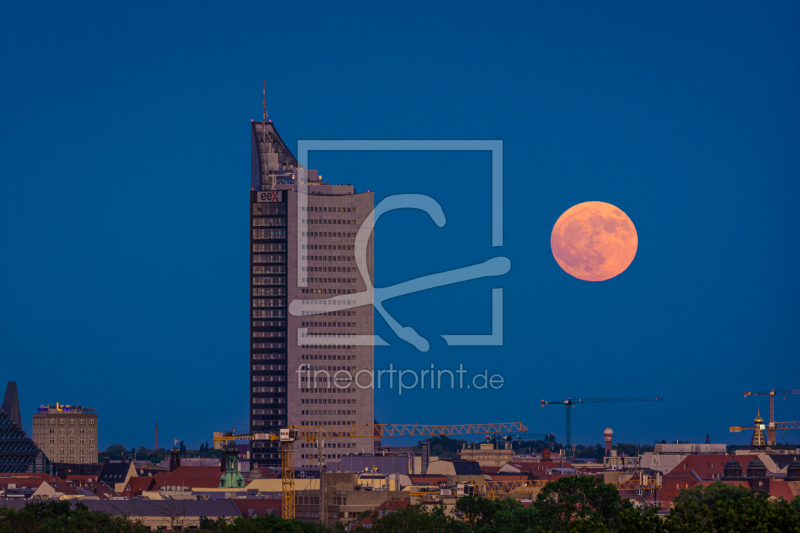 frei wählbarer Bildausschnitt für Ihr Bild auf Papier