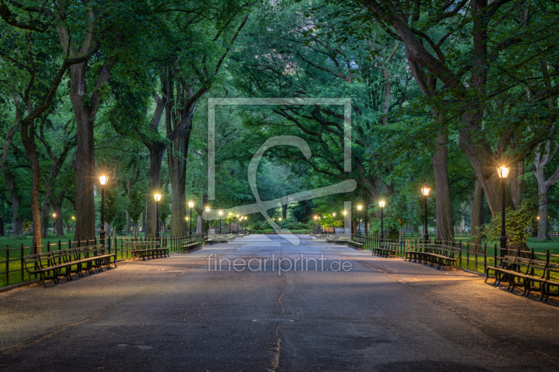 frei wählbarer Bildausschnitt für Ihr Bild auf Papier