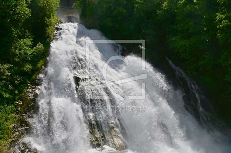 frei wählbarer Bildausschnitt für Ihr Bild auf Papier