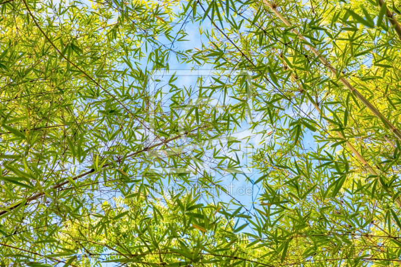 frei wählbarer Bildausschnitt für Ihr Bild auf Papier